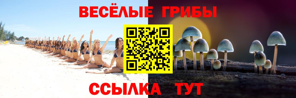 Галлюциногенные грибы Cubensis Бахчисарай
